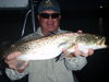 Picture_051.jpg