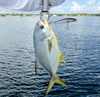 Pompano_n_Rapala_Clackin_Rap.jpg