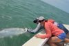 Pre_fishing_tarpon.jpg