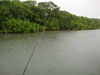 Rain_001.JPG