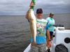 Redfish_October_2.jpg