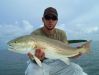 Redfish_Prefish.jpg