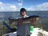 Redfish_and_SNook.jpg