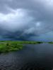 Redfish_and_Trout_in_the_Delacroix_Marshes___6.jpg