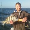 Reef_Sheepshead_Photo_Larry_Hendricks.jpg