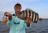 Rob_4_5_lb_Sheepshead_Funament_2015.jpg