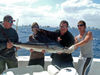 SAILFISH_edited1.jpg