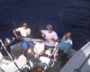 Sailfish11.jpg