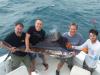 Sailfish_3_Brian2.jpg