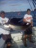 Sailfish_Andy2.jpg