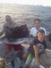 Sailfish_Carlo2.jpg