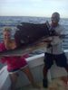 Sailfish_Carol2.jpg