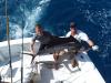 Sailfish_Eric2_9_17_17.jpg