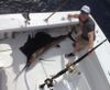 Sailfish_Fishing.JPG