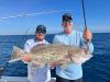 Sailfish_Grouper_February__2023.jpg