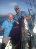 Sailfish_Jeff.jpg