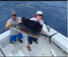 Sailfish_Jeremy2__3_.png