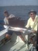 Sailfish_Ken.jpg