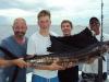 Sailfish_Kevin_s.jpg