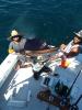 Sailfish_Luis2_s__1_.jpg