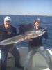 Sailfish_Marc2.jpg