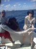 Sailfish_Oscar_1_.jpg