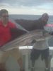 Sailfish_Steve2.jpg