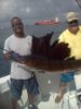 Sailfish_Tom3.jpg