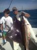 Sailfish_Tony_2_.jpg