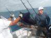 Sailfish_Tonya2.jpg