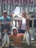 Sailfish_Tuna_John.jpg