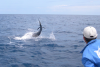 Sailfish_fishing_Fort_Lauderdale.png