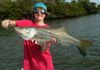 Sam_Poole_big_snook.jpg