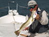 Sea_Trout.JPG