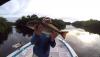 Sep_4_red_fish.jpg