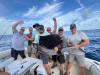Sept_2024_Sailfish.jpeg