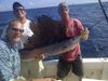 Sept_21_2011_Sailfish_web.jpg