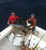 Sept_3_2011_Sailfish_web.JPG