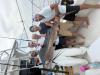 September_2026_II_Sailfish.jpeg