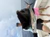 September_2026_II_Sailfish_2.jpeg