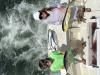 September_2026_Mahi.jpeg