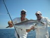 Shark_Cobia_003.JPG