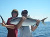 Shark_Cobia_006.JPG