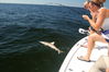 Shark_Fishing_Photo_Capt_Rob_Modys.JPG