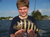 Sheepshead_Jessie_2rs.jpg