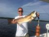 Slot_Redfish_in_the_flats_of_tampa_bay.jpg