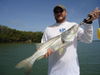 Snook_June_018.JPG