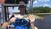 Snook_in_January_Bay_Fishing_With_Guide_Shallow_Point_Fishing_Charters.JPG
