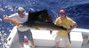 Stroud_sailfish.jpg