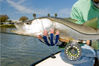 Tampa-Bay-Fly-Snook.jpg